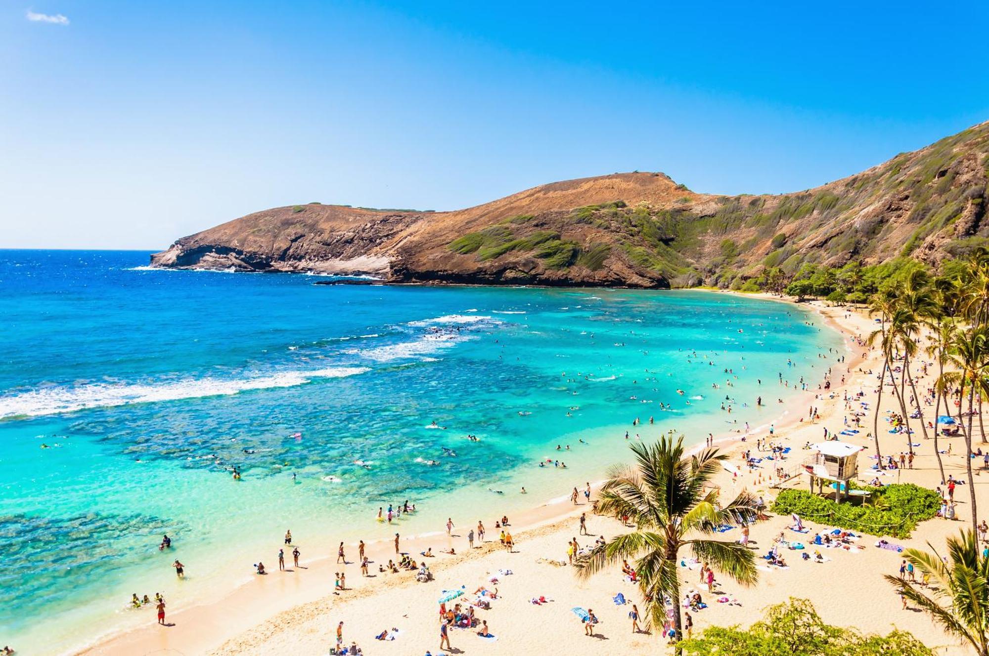 Cozy 1br With Great Ocean Views - 3 Mins To Waikiki Beach!